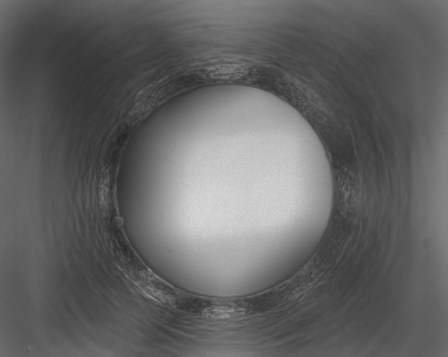 X0000083530745200702240018