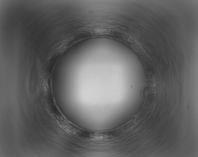 X0000083530746200702240018