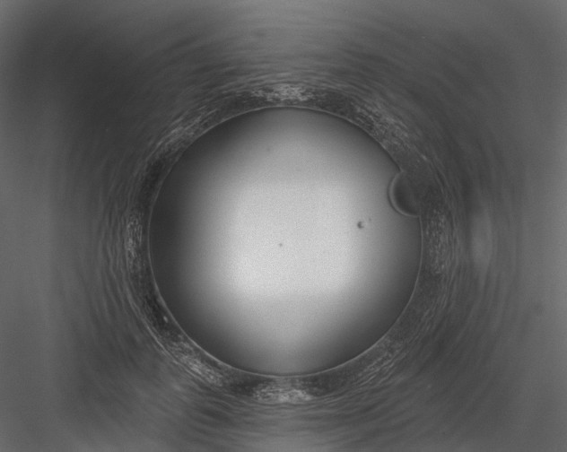 X0000083530747200702240018