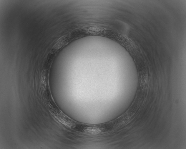 X0000083530749200702240018