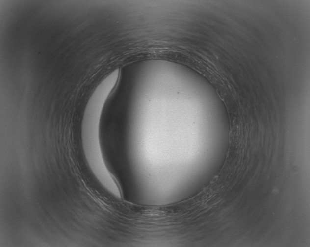 X0000083530750200702240018