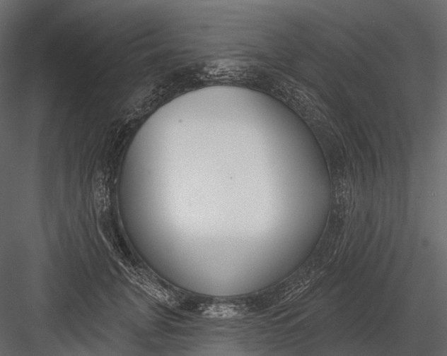 X0000083530751200702240018