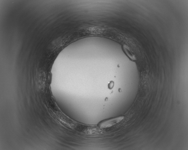 X0000083530752200702240018