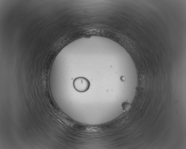 X0000083530753200702240018