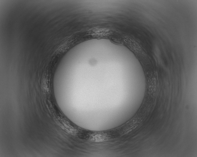 X0000083530755200702240018