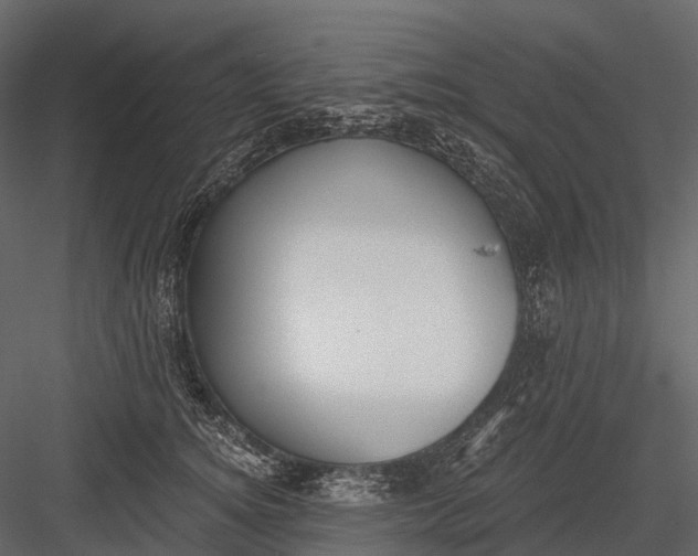 X0000083530756200702240018