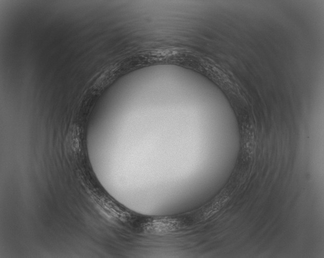 X0000083530758200702240018