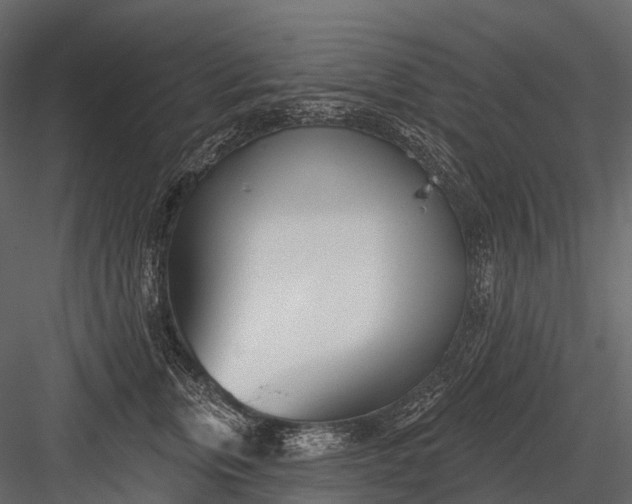 X0000083530759200702240018