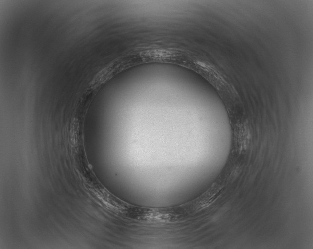 X0000083530760200702240018