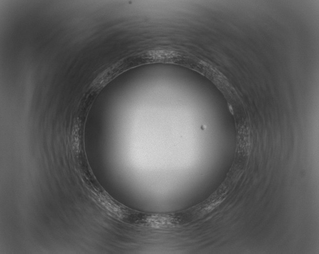 X0000083530762200702240018