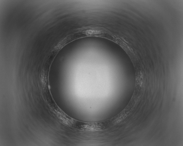 X0000083530763200702240018