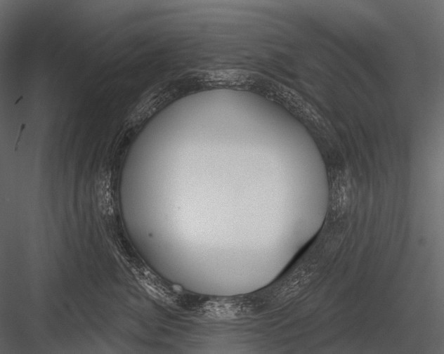 X0000083530764200702240018