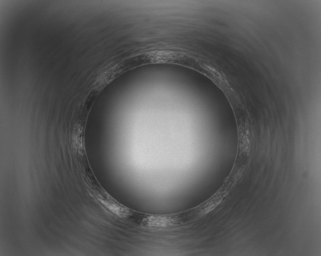 X0000083530766200702240018