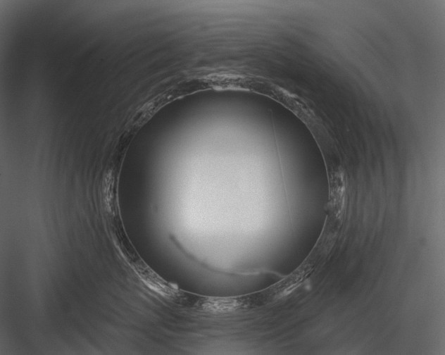 X0000083530767200702240018