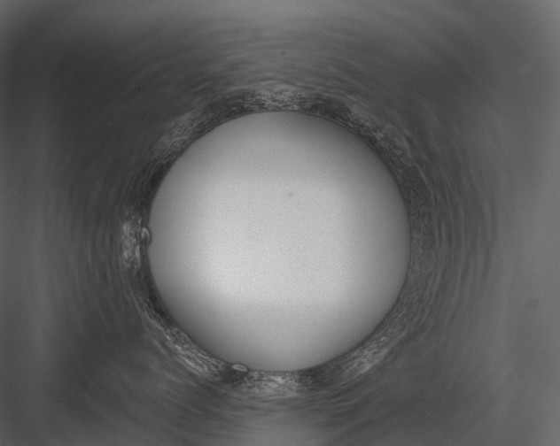 X0000083530768200702240018