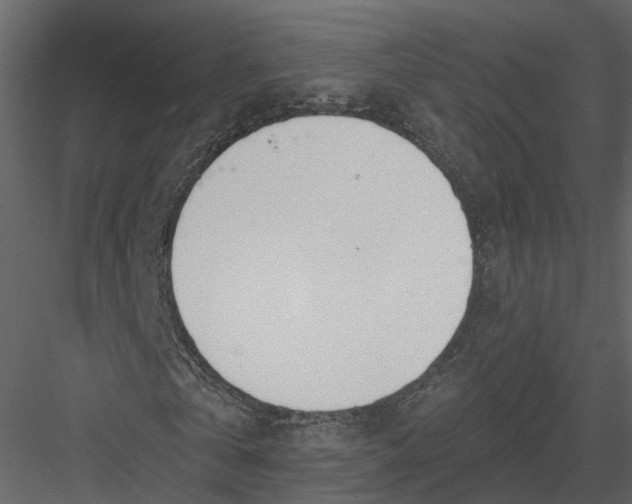 X0000083530769200702240017