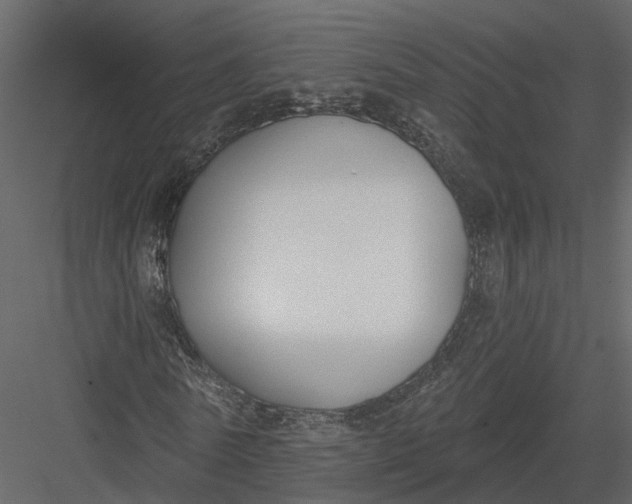 X0000083530770200702240017