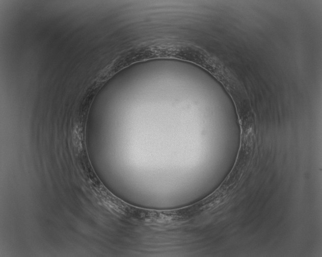 X0000083530772200702240017