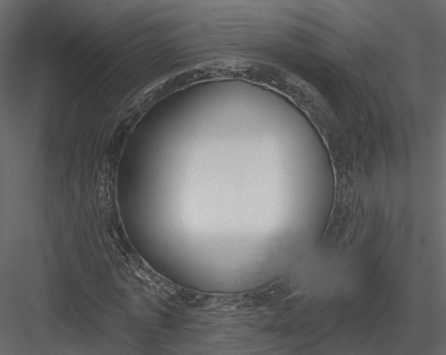 X0000083530773200702240017