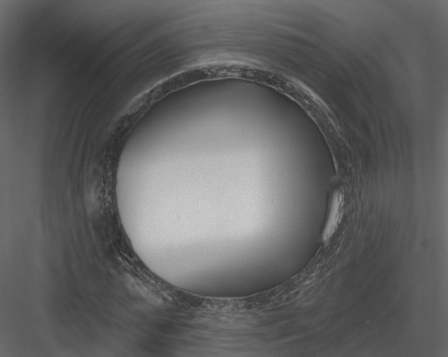 X0000083530775200702240017