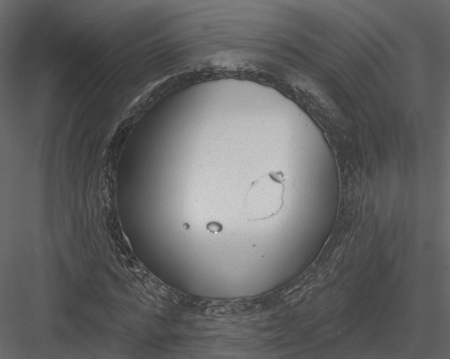 X0000083530776200702240017