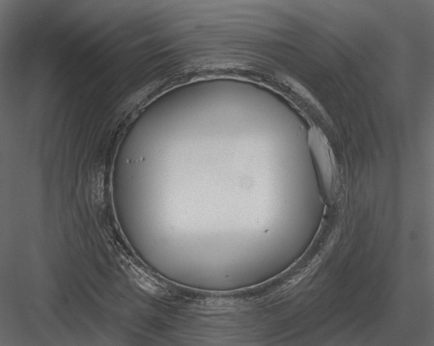 X0000083530777200702240017