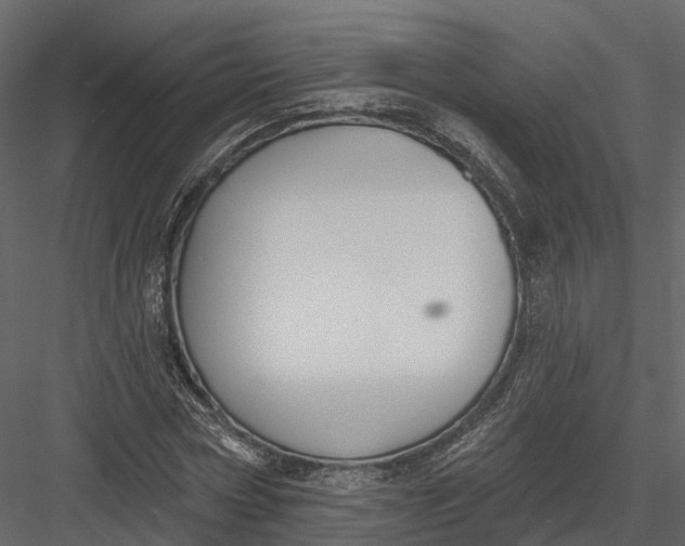 X0000083530778200702240017