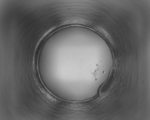 X0000083530780200702240017