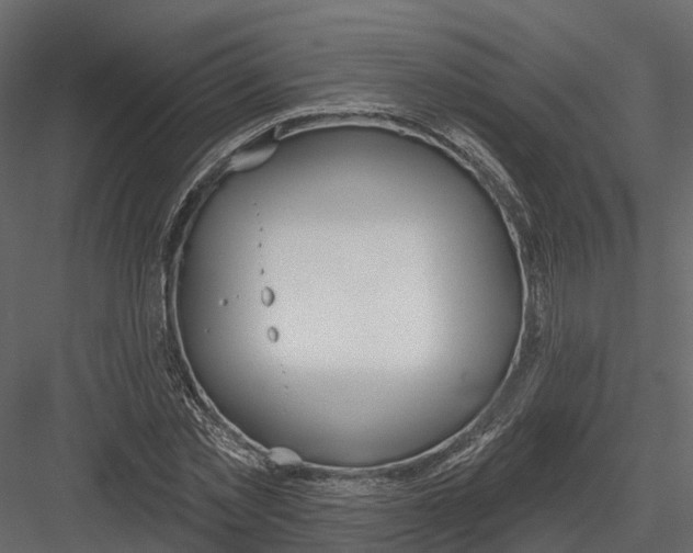 X0000083530781200702240017