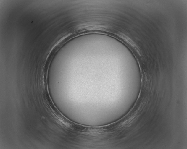 X0000083530782200702240017