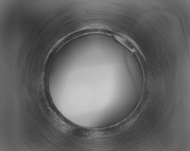 X0000083530783200702240017