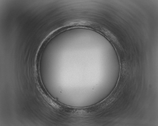 X0000083530784200702240017