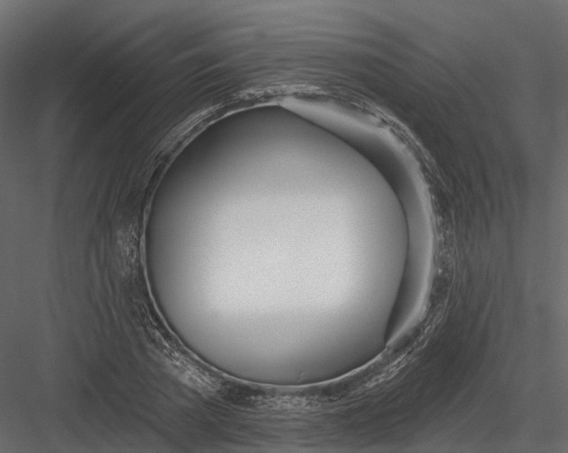 X0000083530785200702240017