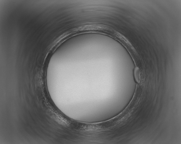 X0000083530786200702240017