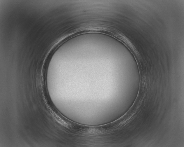 X0000083530787200702240017