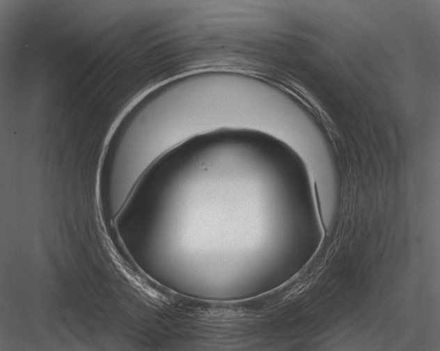 X0000083530788200702240017