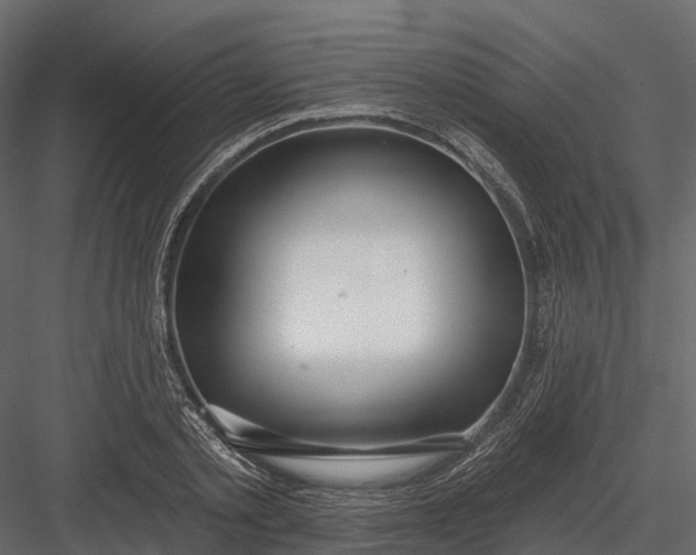 X0000083530789200702240017