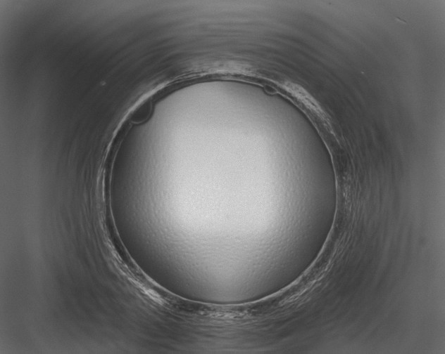 X0000083530790200702240017