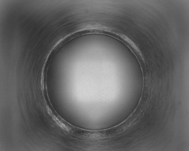 X0000083530791200702240017