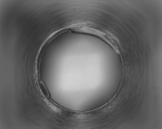 X0000083530792200702240017