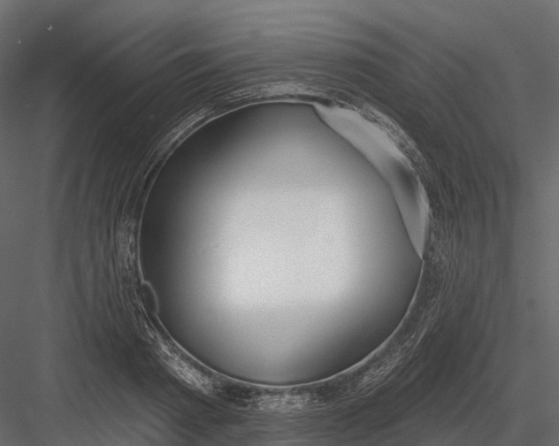 X0000083530793200702240017