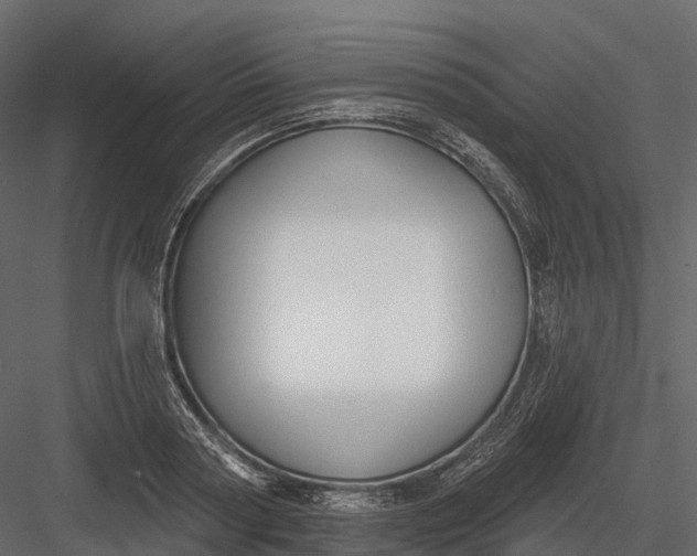 X0000083530794200702240017