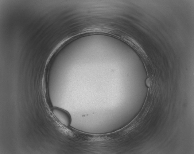 X0000083530796200702240017