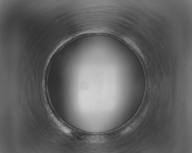 X0000083530797200702240017