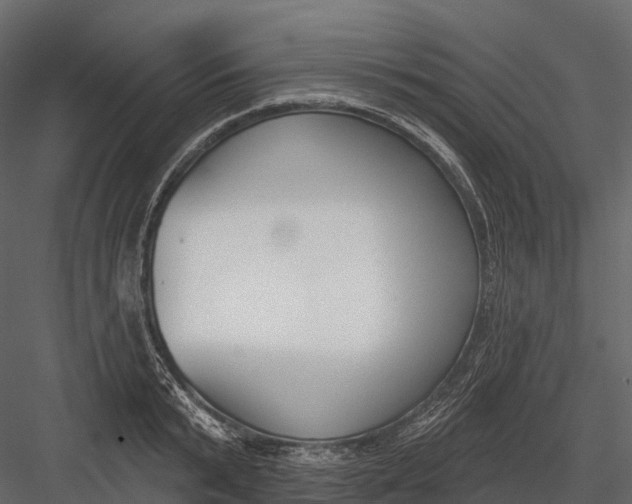 X0000083530799200702240017