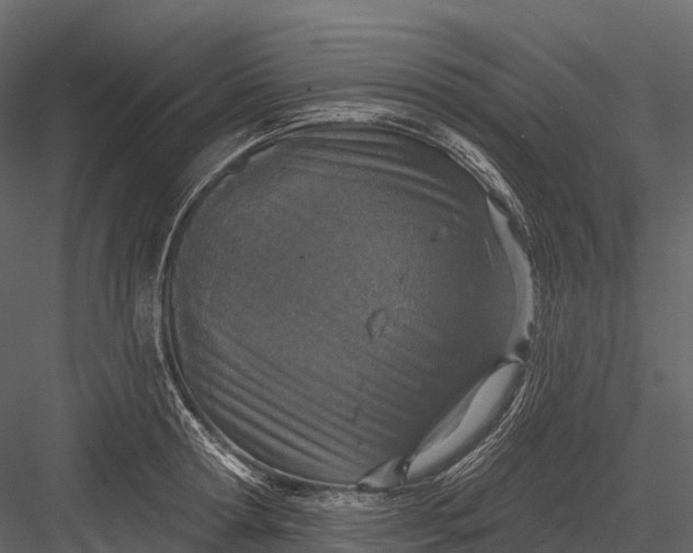 X0000083530802200702240017