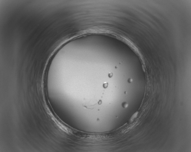 X0000083530803200702240016