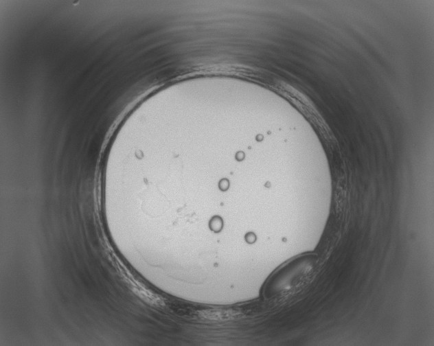 X0000083530804200702240016