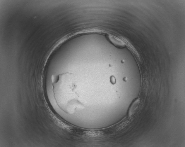 X0000083530805200702240016