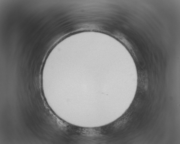 X0000083530807200702240016